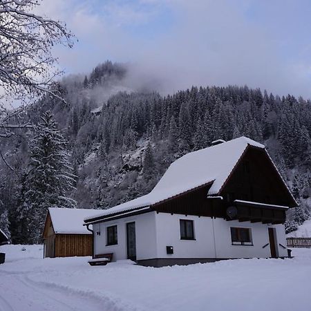 Haus Cilli Villa Donnersbachwald Eksteriør bilde